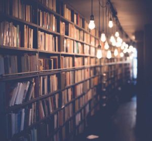Read more about the article Book Suggestions for Summer