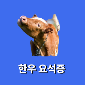 Read more about the article 비육우 요석증 원인 및 치료방법
