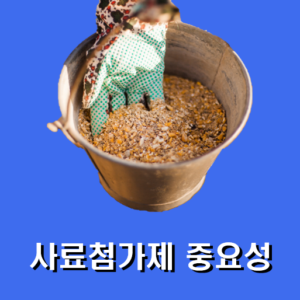 Read more about the article 사료첨가제 중요성 및 종류 3가지 +(좋은 제품 고르는 요령)